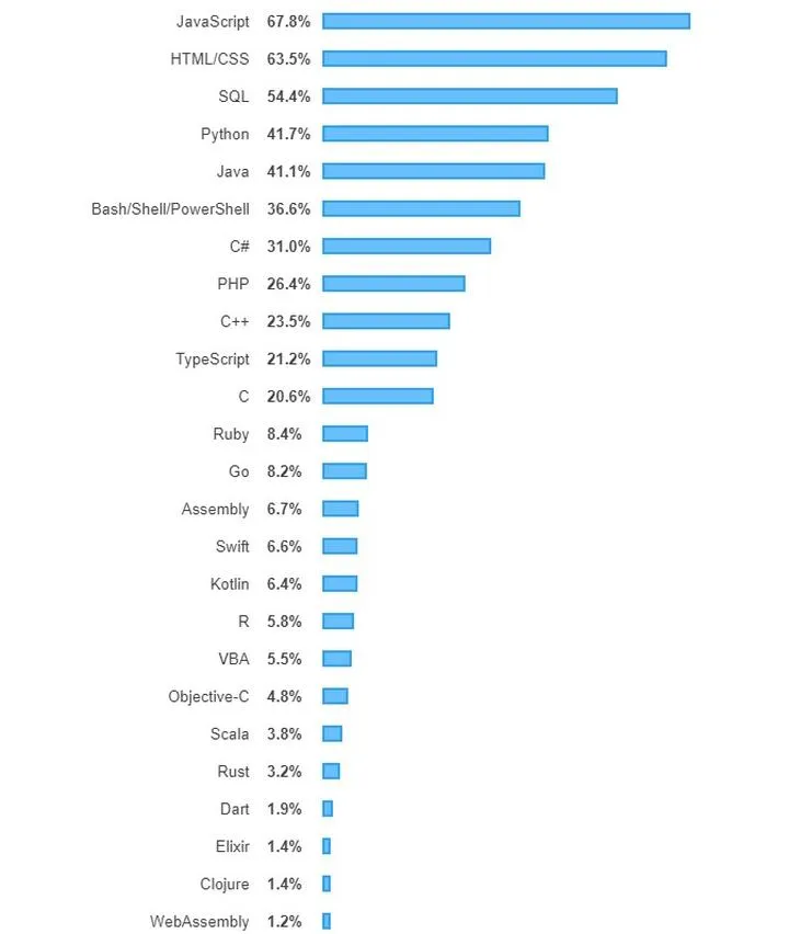 Jak wybrać pierwszy język programowania