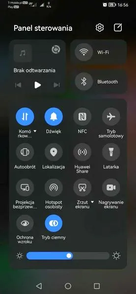 Nagrywanie ekranu Windows