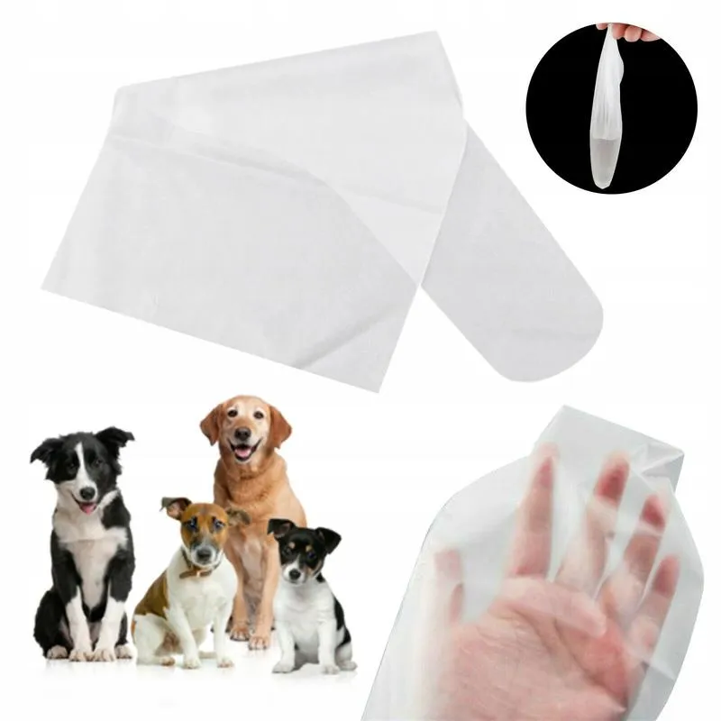 Pobieranie nasienia od psa