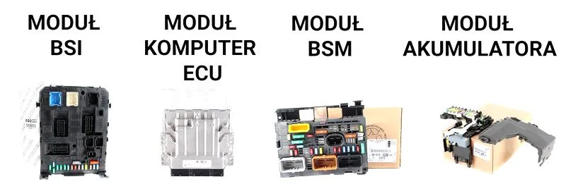 Programowanie modułu BSM