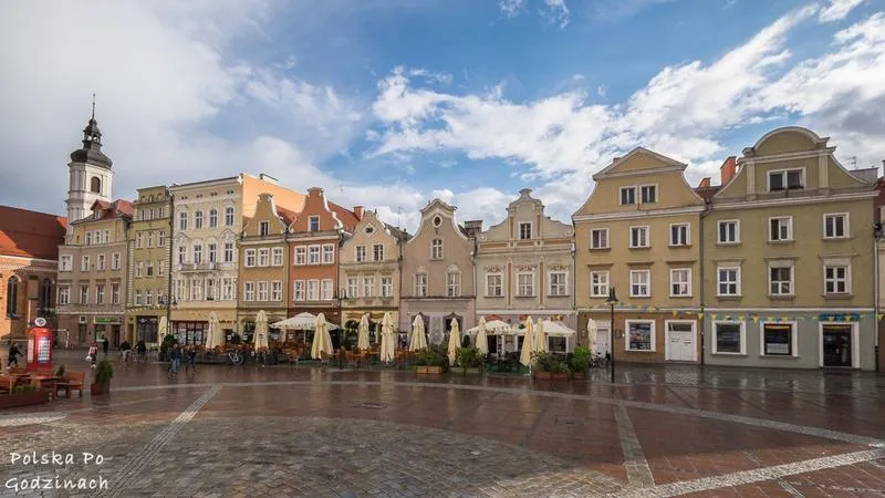Serwisy naprawcze Opole