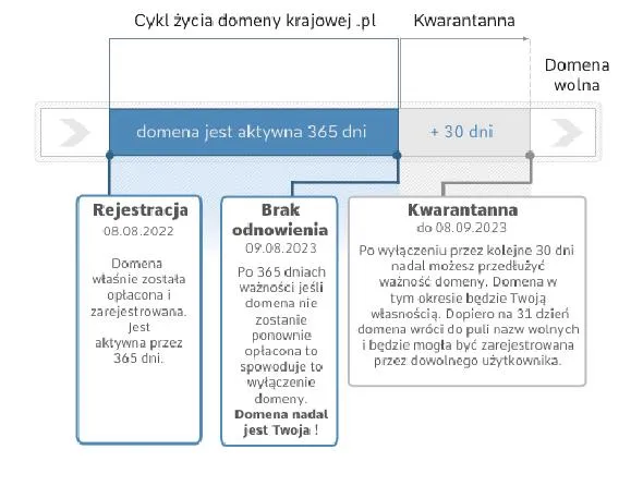 Strategia marketingowa