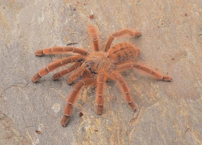 Tworzenie bootowalnych pendrive'ów