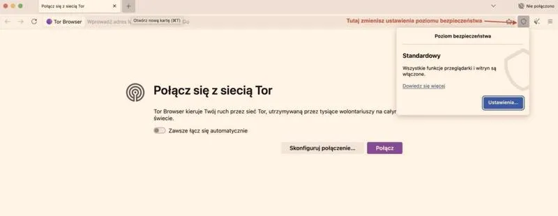 Ustawienia przeglądarki