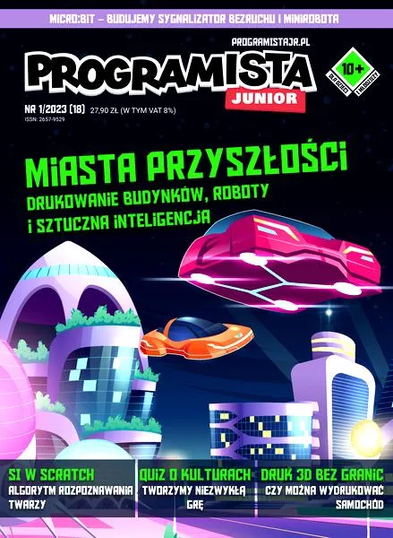 Wyzwania juniorów