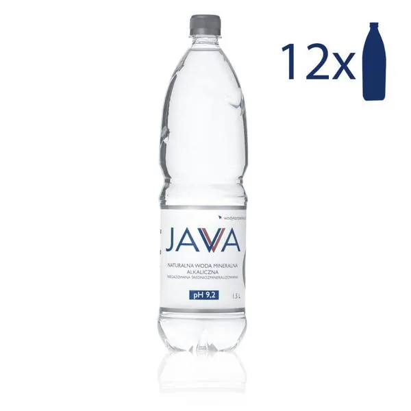 Zarobki programistów Java